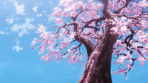 gif动图,萌,古风,风景,食物,二次元…… - 堆糖,美图壁纸兴趣社区