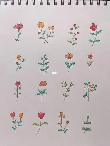 35 | 100简笔画 | 简单花卉植物手帐素材简笔画花卉手帐素材