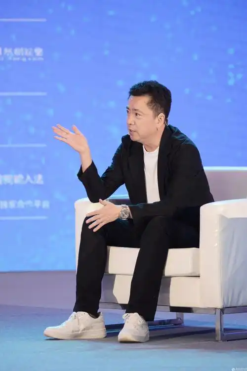 华谊兄弟传媒股份有限公司副董事长王中磊