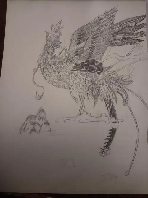 临摹,火凤凰|其他|其他|花以忆 - 临摹作品 - 站酷 (zcool)