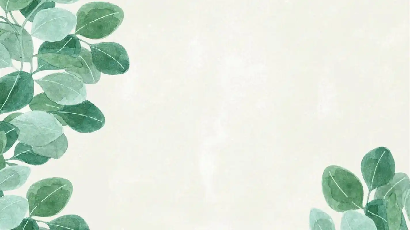 一些ppt小清新背景图 背景图花哨是制作ppt的大忌.