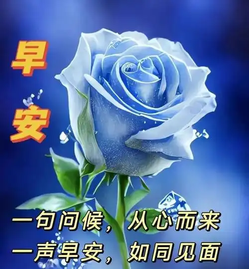 最新温馨早安祝福图片带字问候语录,关怀亲友暖心冬日问候祝福语