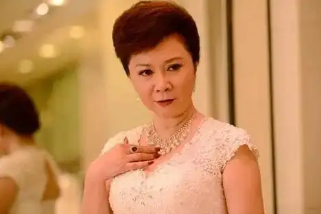 回顾蔡明儿子丁丁36岁仍未婚无子女是蔡明的骄傲也是她的心病