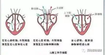 【养生之道】心脏声音养生·上_手机搜狐网