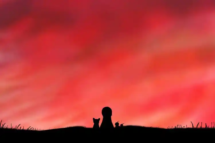 黄昏的时候,小溪跟猫猫还有两只小精灵在看夕阳