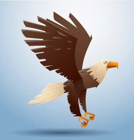 老鹰插画