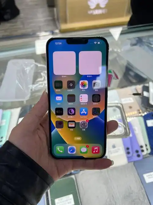 苹果13promax256g银色国行只卖766767676