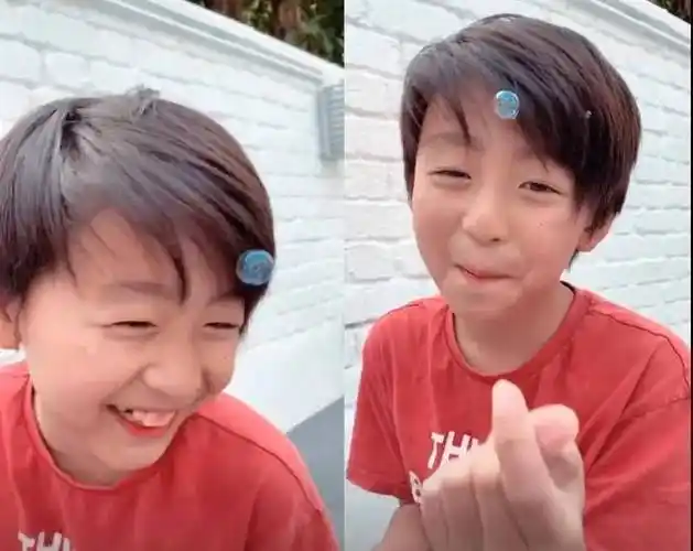 张柏芝晒二儿子近照梳谢霆锋同款发型被赞帅气妥妥的小帅哥