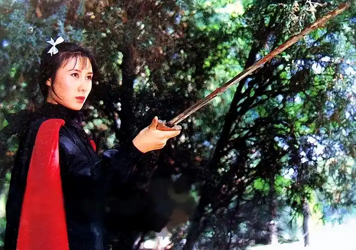 "牧羊女"丁岚:因《少林寺》走红,巅峰时远走他国,她后悔吗?