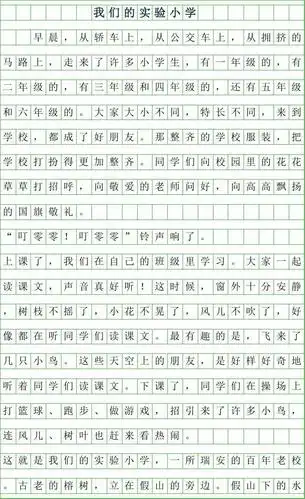 2019年我们的实验小学作文300字