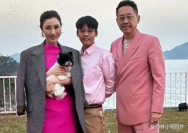 李嘉欣跟许晋亨也才会带着他去参加一些活动.