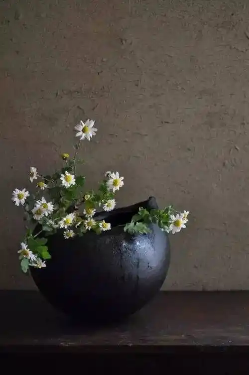 禅意插花 · 一场花与禅的邂逅