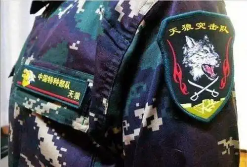 中国五大特种部队专属臂章,最爱哪个