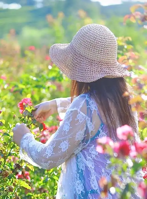 人生最美是淡然