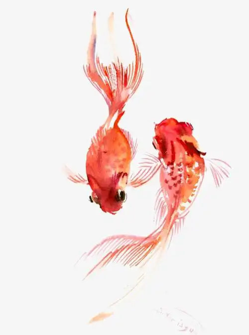 手绘金鱼下载