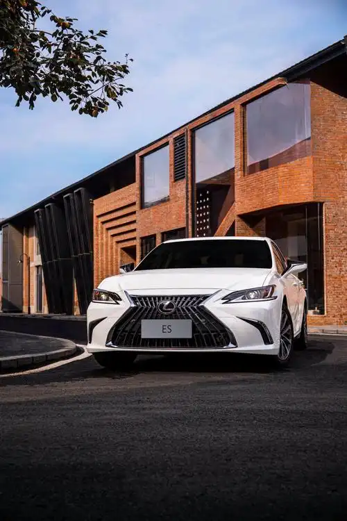 都是成年人,喜欢的东西就想办法拥有呗_雷克萨斯es社区_易车社区