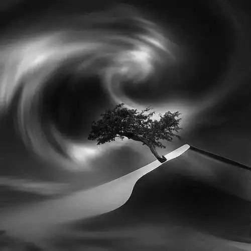 三个摄影师的极简 黑白摄影,你更爱哪一个?