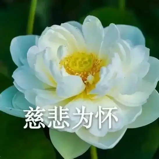 头像#老年人专用头像#沙雕头像 - 抖音