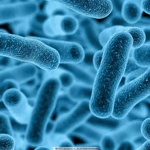 白酒埋在地下的话到底好不好呢