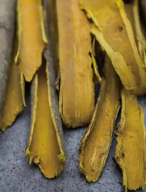 黄檗通常被称为黄柏,是一味常用中药,指的是芸香科植物黄皮树的树皮