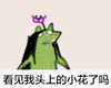 甩头青蛙看见我头上的小花了吗gif动图_动态图_表情包下载_soogif