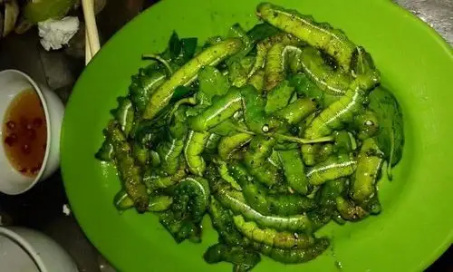 越南的恐怖菜肴你敢不敢吃