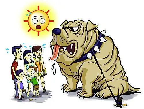 随着我市进入高温烧烤模式,猫狗也变得暴躁,频频攻击市民.