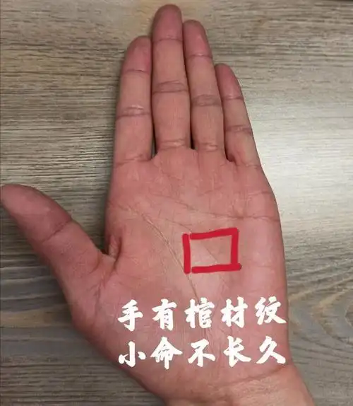 棺材纹就是指,在小指下方,或者坎宫之上,和明堂从