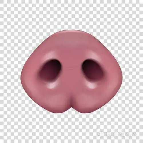 矢量逼真的3d 粉红色滑稽猪鼻子图标特写在透明网格背景上隔离.可爱的