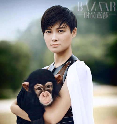 不,这9位国字脸明星也是超美