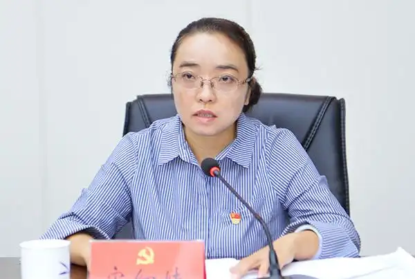 省委第八巡视组向浔阳区反馈巡视情况