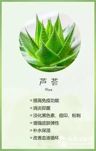 库拉索芦荟提取物 芦荟甙