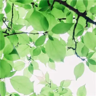 唯美风景头像图片大全高清