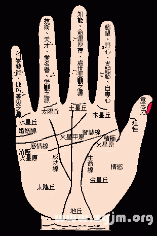 凯帝阿手相算命图解大全03,看相大全 - 周公解梦