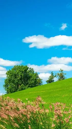 养眼蓝天白云草原风光