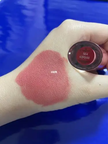 阿玛尼小胖丁504_日记_口红_乔治阿玛尼怎么样_掉色_哑光_我的口红