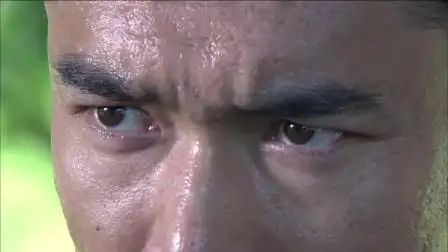 山本冈夫在得知李小龙贴出"三不"以后,要把他的武馆砸了