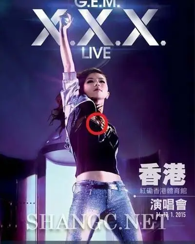 邓紫棋演唱会海报疑露点 工作人员称只是头发阴影