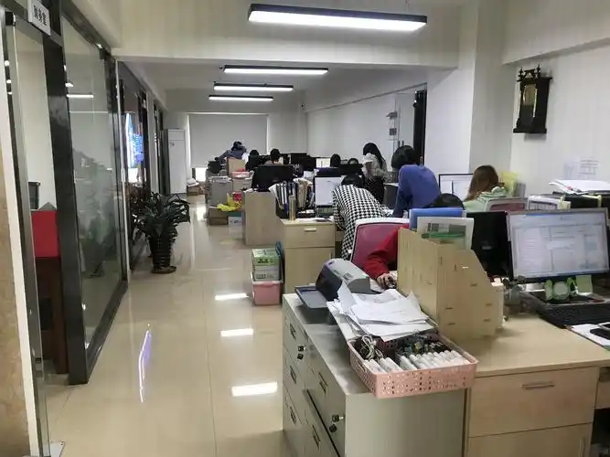 代理记账人员_龙岩合鑫财务有限公司最新招聘信息 - 597直聘人才网