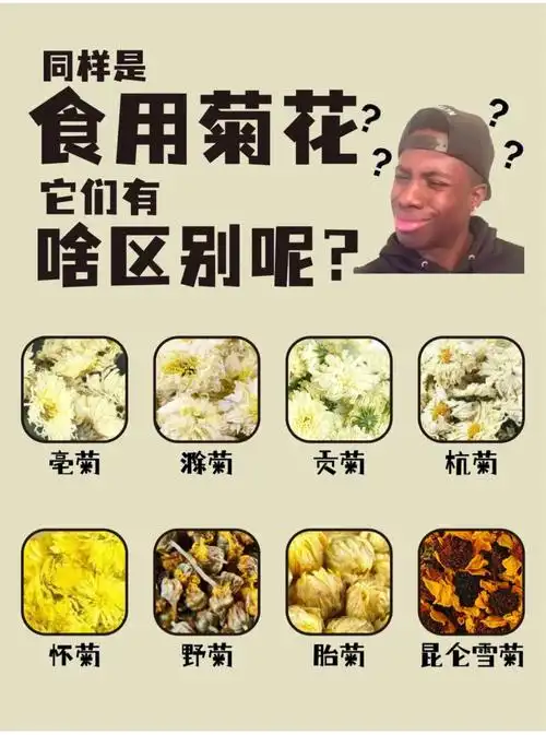 菊花的功效与作用01功效作用核心功效疏散风热,平抑肝阳,清肝明目