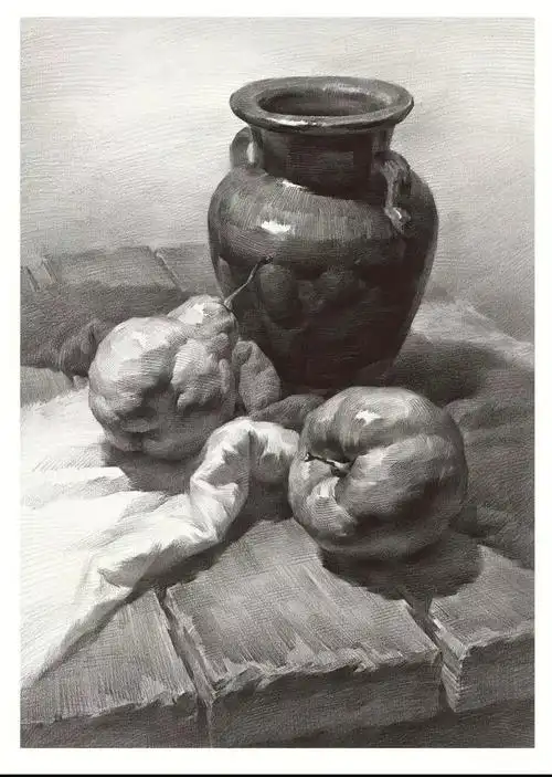 素描静物基础知识总结