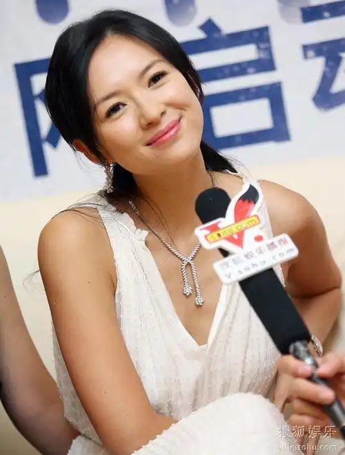 专访《非常完美》主创 章子怡曝影片投资5000万