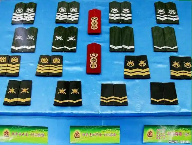 如何通过我国军队肩膀肩章看级别|金星|军衔|星星|军种_网易订阅
