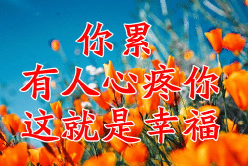 一首《陪你千山万水》送给我最在乎的人!愿你每天都精彩!