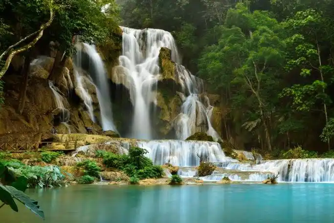 属兔的人,半月内,有财星入命,运势亨通,他们的运势会一路高涨,直线