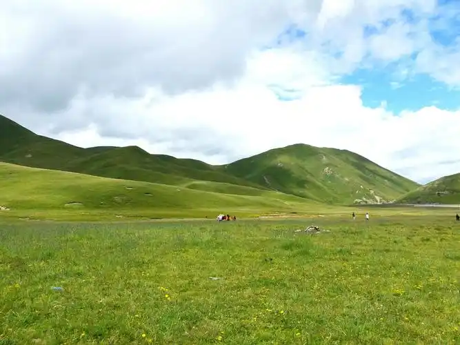 若尔盖草原花湖景区,桑科草原旅行纪念 二0一八年八月二日,七日