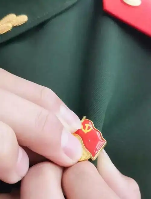 党徽是戴左胸还是右胸