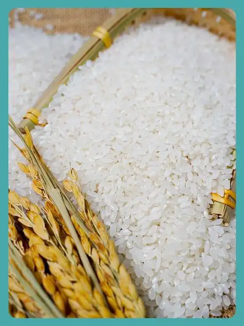 大米新米真空10斤5斤珍珠长粒新日期东北五常大米