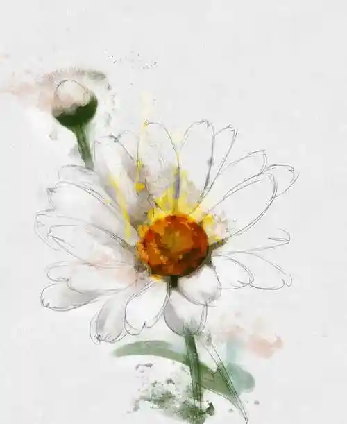 卡通蜻蜓插图图片-卡通水彩蜻蜓素材-高清图片-摄影照片-寻图免费打包