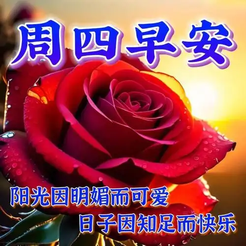 10月26日周四早上好最新版漂亮早安祝福语表情图片大全问候语愿君清晨